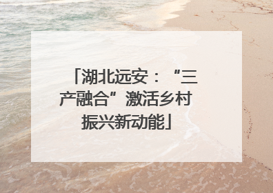 湖北远安：“三产融合”激活乡村振兴新动能