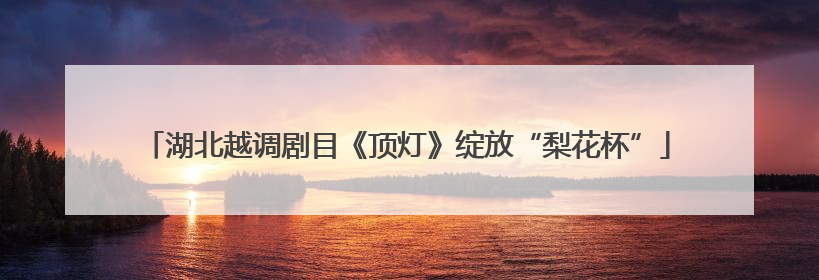 湖北越调剧目《顶灯》绽放“梨花杯”