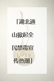 湖北通山掀起全民禁毒宣传热潮