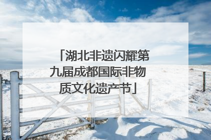 湖北非遗闪耀第九届成都国际非物质文化遗产节