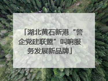 湖北黄石新港“警企党建联盟”叫响服务发展新品牌