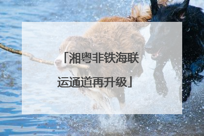 湘粤非铁海联运通道再升级