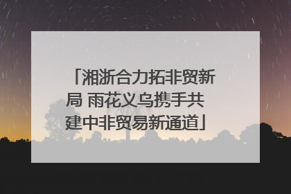 湘浙合力拓非贸新局 雨花义乌携手共建中非贸易新通道
