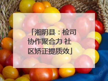 湘阴县：检司协作聚合力 社区矫正提质效