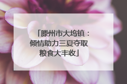 滕州市大坞镇：倾情助力三夏夺取粮食大丰收