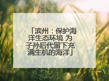 滨州：保护海洋生态环境 为子孙后代留下充满生机的海洋