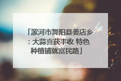 漯河市舞阳县姜店乡：大蒜喜获丰收 特色种植铺就富民路