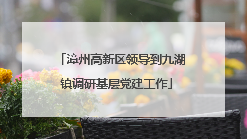 漳州高新区领导到九湖镇调研基层党建工作