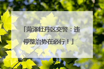 菏泽牡丹区交警：违停整治势在必行！