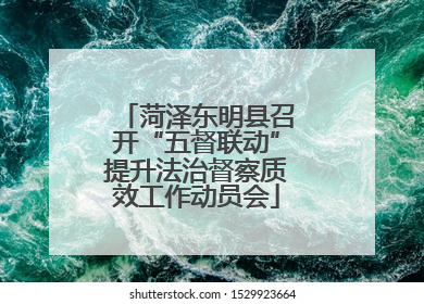 菏泽东明县召开“五督联动”提升法治督察质效工作动员会