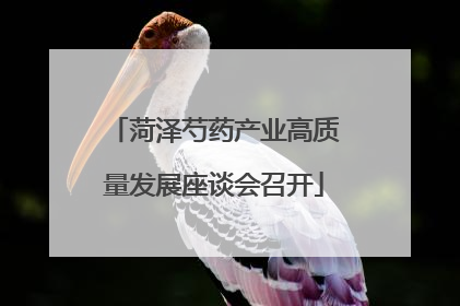 菏泽芍药产业高质量发展座谈会召开