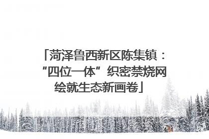 菏泽鲁西新区陈集镇：“四位一体”织密禁烧网 绘就生态新画卷