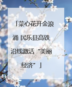 菜心花开金浪涌 民乐县高铁沿线激活“美丽经济”