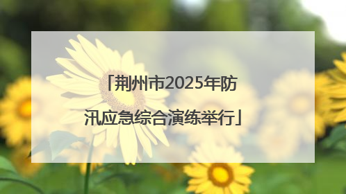 荆州市2025年防汛应急综合演练举行