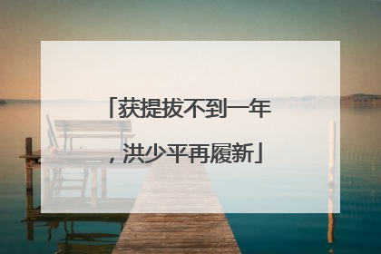 获提拔不到一年，洪少平再履新