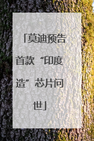 莫迪预告首款“印度造”芯片问世
