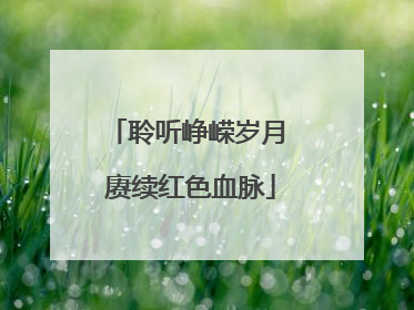 聆听峥嵘岁月 赓续红色血脉