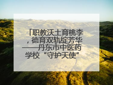 职教沃土育桃李，德育双轨绽芳华——丹东市中医药学校“守护天使”名班主任工作室德育实践之路