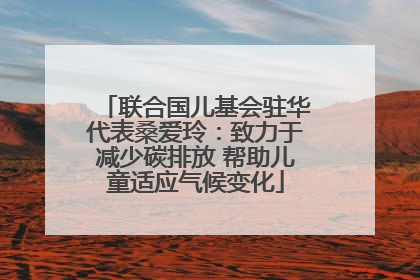 联合国儿基会驻华代表桑爱玲：致力于减少碳排放 帮助儿童适应气候变化