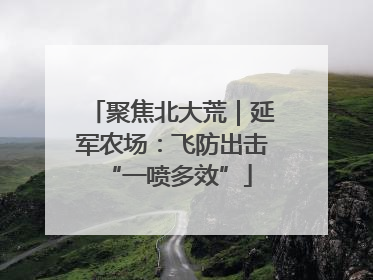 聚焦北大荒｜延军农场：飞防出击 “一喷多效”