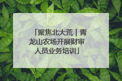 聚焦北大荒｜青龙山农场开展财审人员业务培训