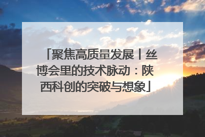 聚焦高质量发展丨丝博会里的技术脉动：陕西科创的突破与想象