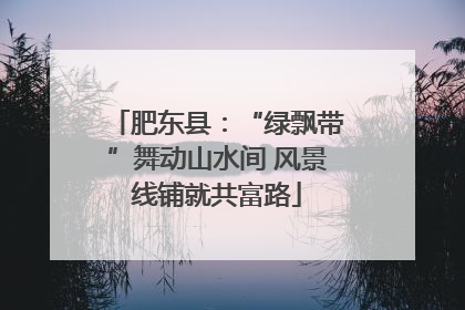 肥东县：“绿飘带”舞动山水间 风景线铺就共富路