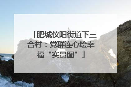 肥城仪阳街道下三合村：党群连心绘幸福“实景图”