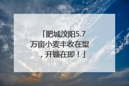 肥城汶阳5.7万亩小麦丰收在望，开镰在即！