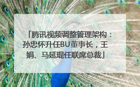 腾讯视频调整管理架构：孙忠怀升任BU董事长，王娟、马延琨任联席总裁