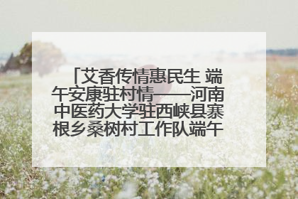 艾香传情惠民生 端午安康驻村情——河南中医药大学驻西峡县寨根乡桑树村工作队端午中医惠民记