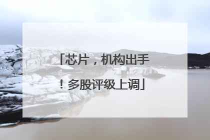 芯片，机构出手！多股评级上调