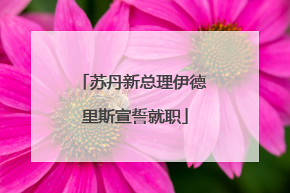 苏丹新总理伊德里斯宣誓就职
