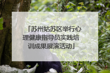 苏州姑苏区举行心理健康指导员实践培训成果展演活动
