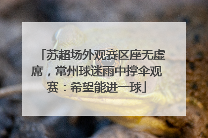 苏超场外观赛区座无虚席，常州球迷雨中撑伞观赛：希望能进一球