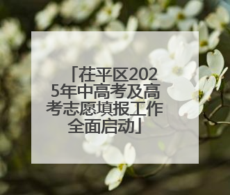 茌平区2025年中高考及高考志愿填报工作全面启动