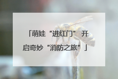 萌娃“进红门” 开启奇妙“消防之旅”