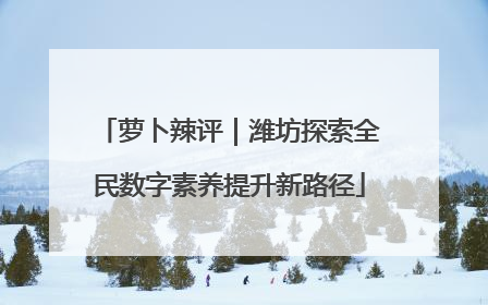 萝卜辣评｜潍坊探索全民数字素养提升新路径