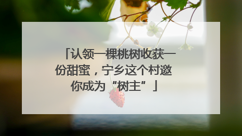 认领一棵桃树收获一份甜蜜，宁乡这个村邀你成为“树主”