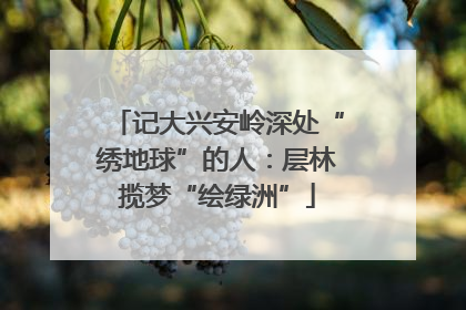 记大兴安岭深处“绣地球”的人：层林揽梦“绘绿洲”