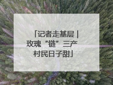 记者走基层｜玫瑰“链”三产 村民日子甜