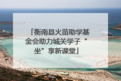 衡南县火苗助学基金会助力城关学子“坐”享新课堂