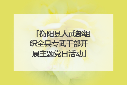 衡阳县人武部组织全县专武干部开展主题党日活动