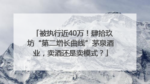 被执行近40万！肆拾玖坊“第二增长曲线”茅泉酒业，卖酒还是卖模式？