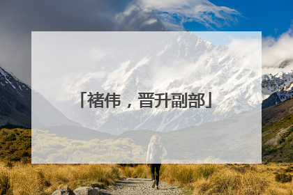 褚伟，晋升副部