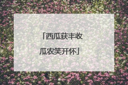 西瓜获丰收 瓜农笑开怀
