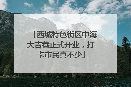 西城特色街区中海大吉巷正式开业，打卡市民真不少