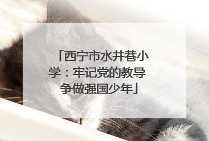 西宁市水井巷小学：牢记党的教导 争做强国少年