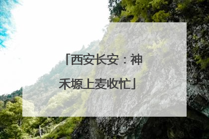 西安长安：神禾塬上麦收忙