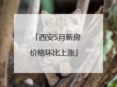 西安5月新房价格环比上涨